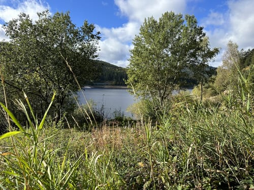 Schwarzenbach-Rundweg