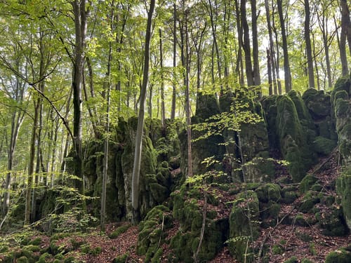 Schermshöhe - Eibgrat - Reuthof