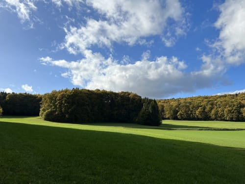 Schermshöhe - Eibgrat - Reuthof