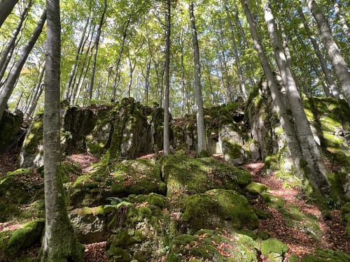 Schermshöhe - Eibgrat - Reuthof