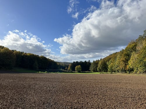 Schermshöhe - Eibgrat - Reuthof