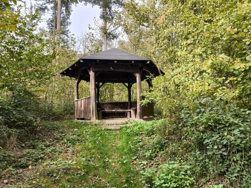 Wanderung Nieder Liebersbach 2
