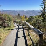 Waterrock Knob Trail, North Carolina - 1,632 Reviews, Map | AllTrails
