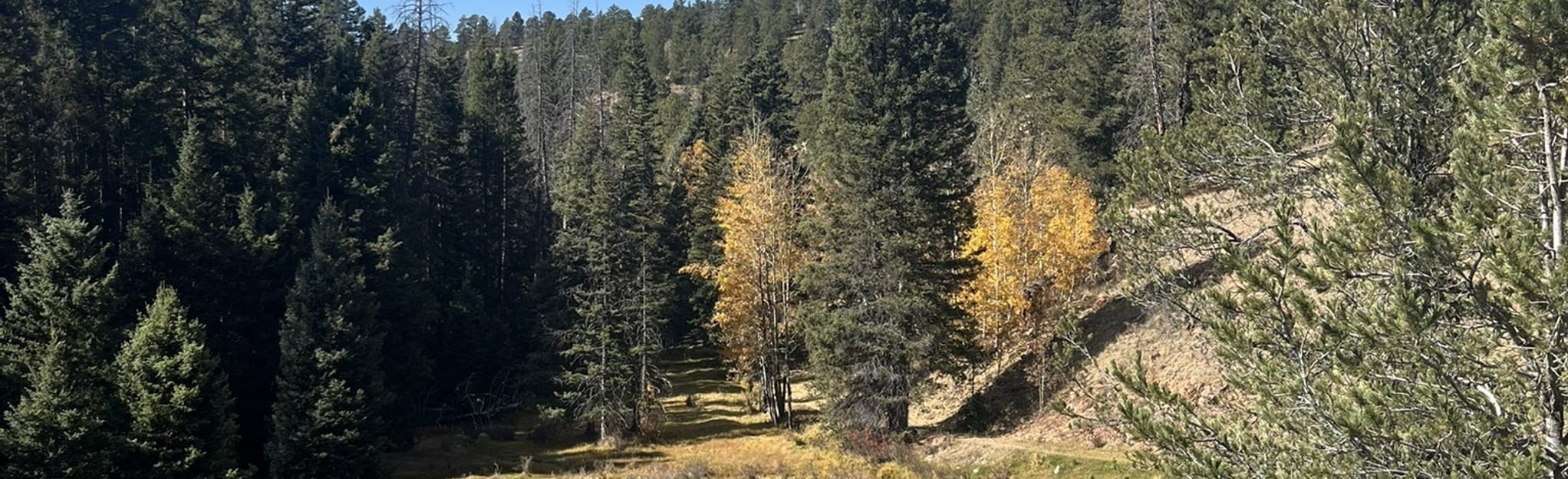 Rock Pond to Werley Ranch Loop Trail, Colorado 57 Reviews, Map