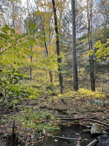 Best Hikes and Trails in Burnham Brook Preserve | AllTrails