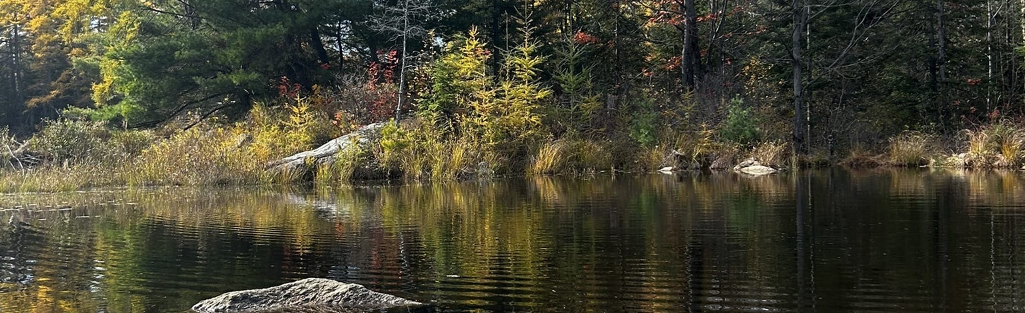 High Lake Circle, Ontario, Canada 18 Reviews, Map AllTrails