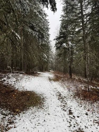 Best Easy Trails in Beauvais Lake Provincial Park AllTrails