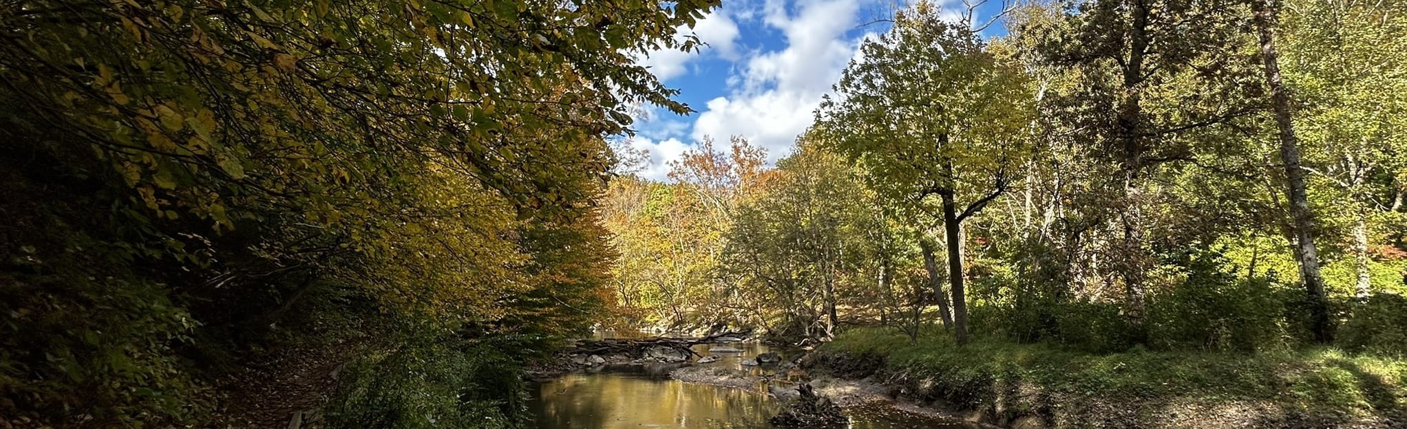 Valley, Pine, Holly, Dim, and Western Ridge Trail Loop, District of