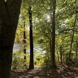 Lake Accotink Trail, Virginia - 2,449 Reviews, Map | AllTrails
