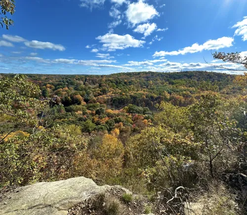 10 Best Hikes and Trails in Ward Pound Ridge Reservation | AllTrails