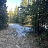 Geneva Creek Iron Fens, Colorado - 162 Reviews, Map | AllTrails