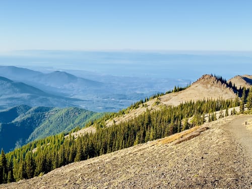 Blue mountain trail shop olympic national park