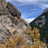 Lower Mill B North Fork Trail, Utah - 1,539 Reviews, Map | AllTrails