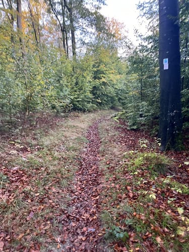 Kell am See ab Landal Greenpark
