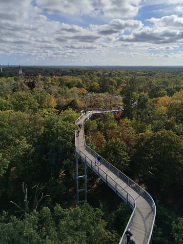 Baumkronenpfad Beelitz-Heilstätten