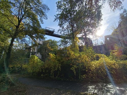 Baumkronenpfad Beelitz-Heilstätten