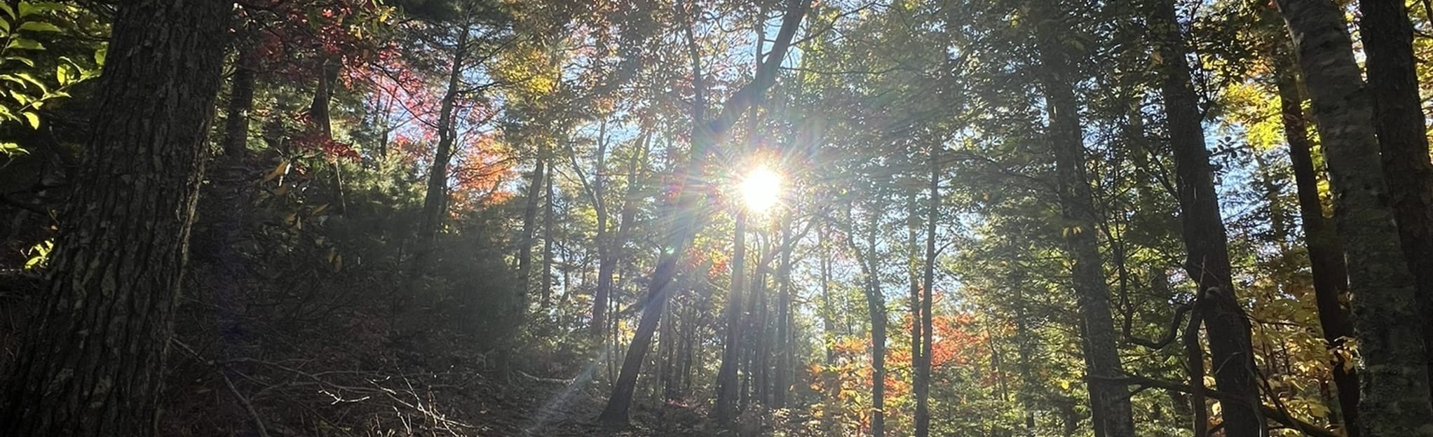 Cades Cove Nature Trail, Tennessee 91 Reviews, Map AllTrails