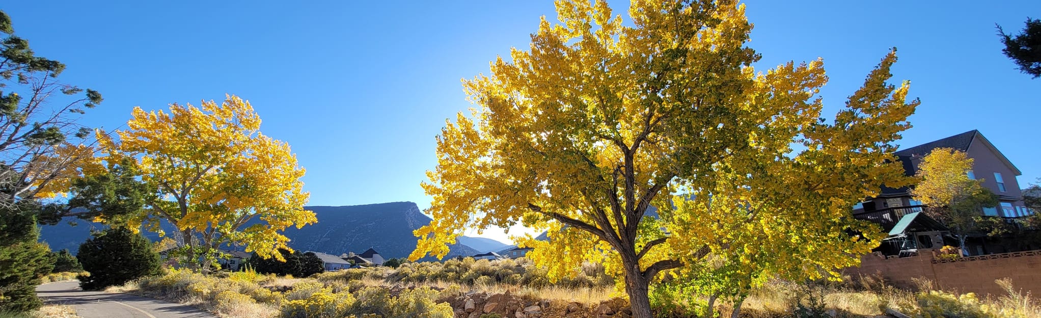 Fiddlers Canyon Ridge, Utah - 15 Reviews, Map | AllTrails