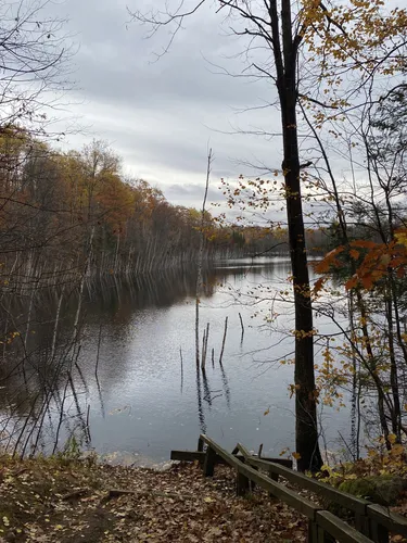Best Hikes and Trails in Langlade County Forest | AllTrails