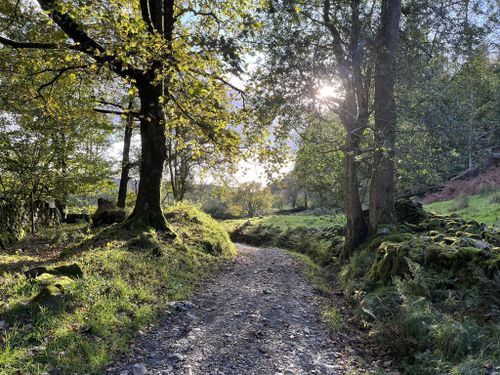 Photos of Low Moor Wood to Banishead Quarry - Cumbria, England