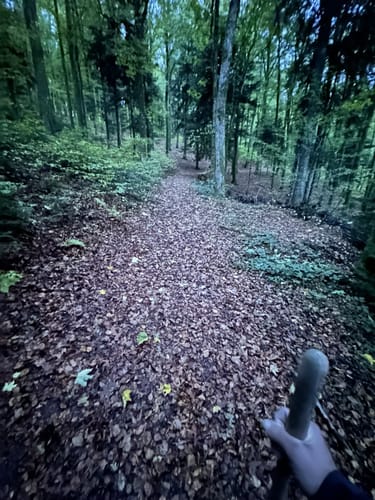Durch den Wald bei Hornberg