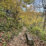 Dark Hollow Falls Trail Virginia - EyJidWNrZXQiOiJhc3NldHMuYWxsdHJhaWxzLmNvbSIsImtleSI6InVwbG9hZHMvcGhvdG8vaW1hZ2UvNjcyNzQ1MDAvZjllYTU2NGFhYjI3NmRjNjE2ODdjYjNkM2EwYjUzOTUuanBnIiwiZWRpdHMiOnsidG9Gb3JtYXQiOiJqcGVnIiwicmVzaXplIjp7IndpZHRoIjoxNjAsImhlaWdodCI6MTYwLCJmaXQiOiJjb3ZlciJ9LCJyb3RhdGUiOm51bGwsImpwZWciOnsidHJlbGxpc1F1YW50aXNhdGlvbiI6dHJ1ZSwib3ZlcnNob290RGVyaW5naW5nIjp0cnVlLCJvcHRpbWlzZVNjYW5zIjp0cnVlLCJxdWFudGlzYXRpb25UYWJsZSI6M319fQ==