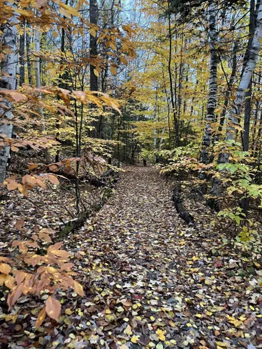 Best Hikes and Trails in Northfield | AllTrails