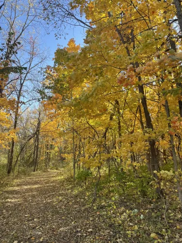 Best Hikes and Trails in Pleasant Creek State Park