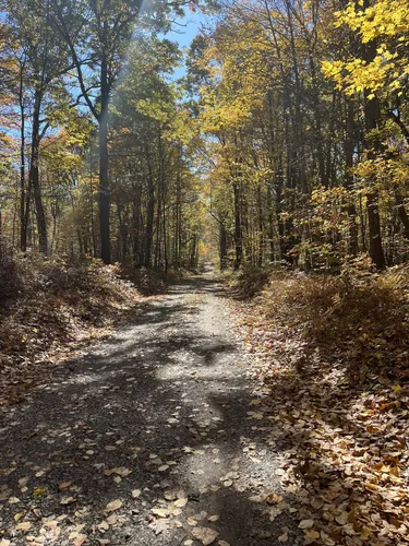 Best Hikes and Trails in State Game Lands Number 39 AllTrails