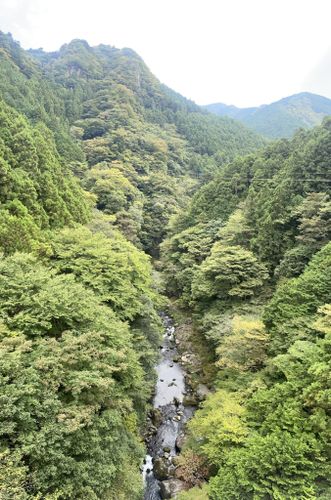 Photos of 奥多摩湖 - 御前山 - 栃寄大滝 - Tokyo, Japan | AllTrails