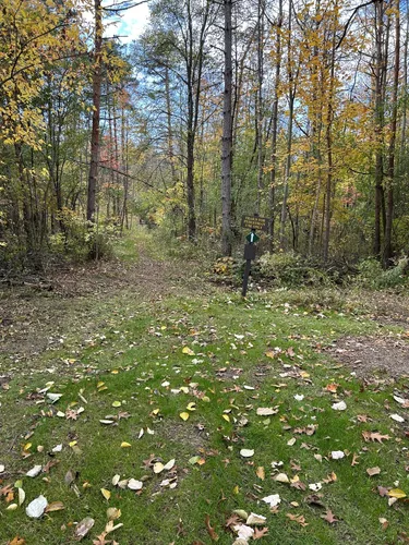 Keuka lake state shop park hiking trails