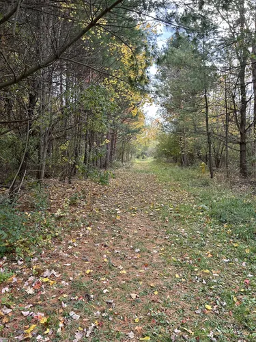 Best Hikes and Trails in Keuka Lake State Park AllTrails