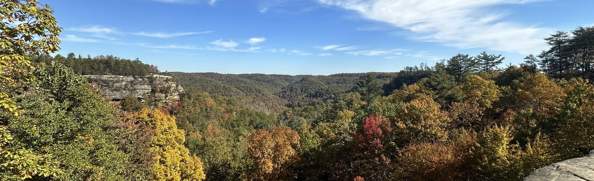 Natural Bridge and Laurel Ridge Trail Loop, Kentucky 1,239 Reviews
