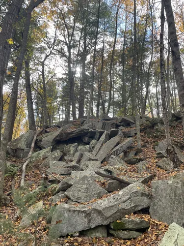 Snake den state park illinois