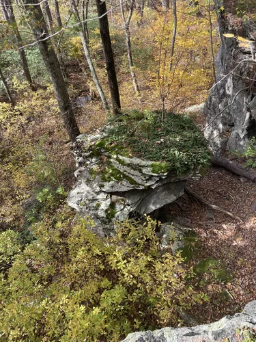 Best Hikes and Trails in Snake Den State Park | AllTrails