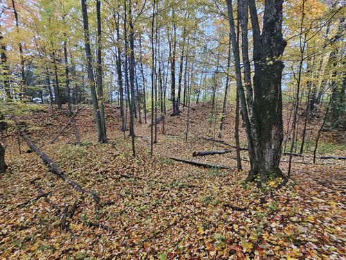 Lone Pine and Keystone Rapids Trail: 363 Reviews, Map - Michigan
