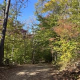 Lake Accotink Trail, Virginia - 2,507 Reviews, Map | AllTrails