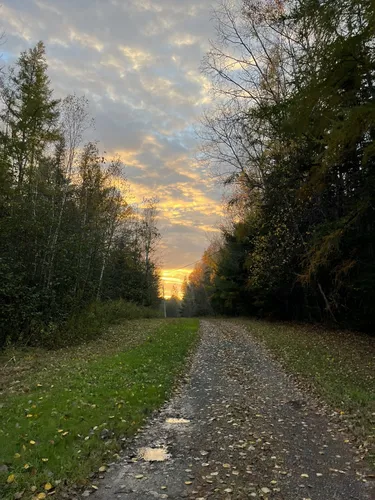 Deer Park Nature Trails / #CanadaDo / Best Things to Do in Oromocto