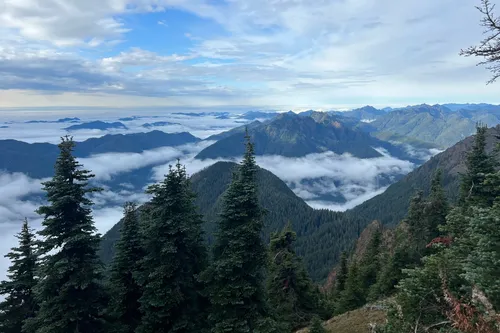 10 Best Hard Trails in Olympic National Forest AllTrails