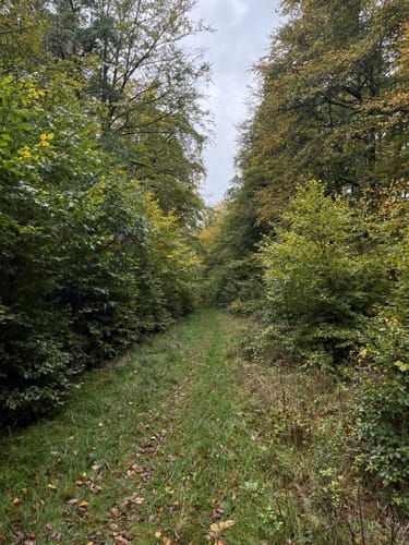 Bösenberg-Route