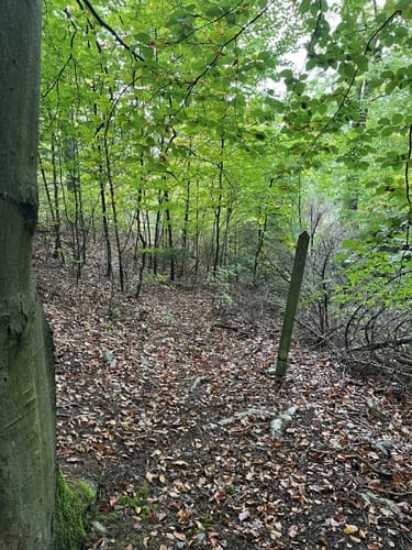 Bösenberg-Route
