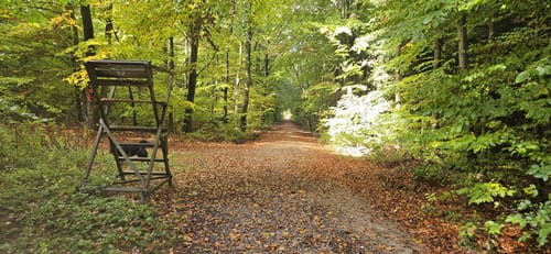Waldrunde bei Edenhausen