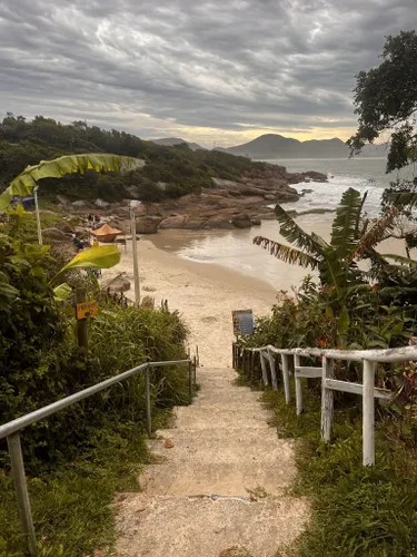 As melhores trilhas em Ingleses do Rio Vermelho, Santa Catarina (Brasil)