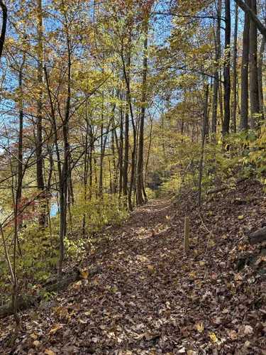 Clinch River State Park