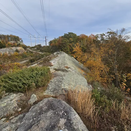 Escape to Paradise: Your Guide to Dart Island State Park