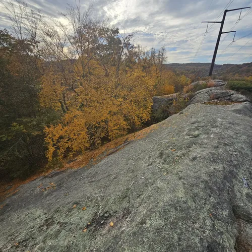 Best Hikes and Trails in Dart Island State Park AllTrails