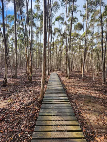 You yangs mtb discount trails