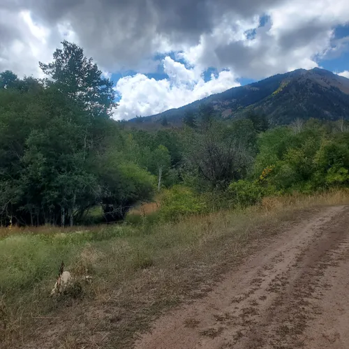 Best Hikes and Trails in Paonia AllTrails