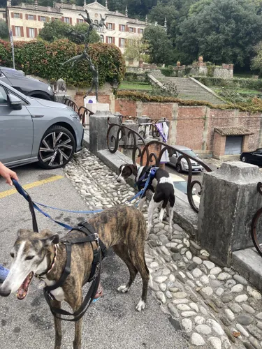 Le migliori escursioni e sentieri in Asolo AllTrails