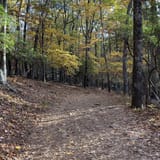 Dark Hollow Falls Trail Virginia - EyJidWNrZXQiOiJhc3NldHMuYWxsdHJhaWxzLmNvbSIsImtleSI6InVwbG9hZHMvcGhvdG8vaW1hZ2UvNjczNTYzMjIvNTgwZTFhN2RlZTY0YWZmZGQ0M2Y3MDIwMmMyMTY3YjMuanBnIiwiZWRpdHMiOnsidG9Gb3JtYXQiOiJqcGVnIiwicmVzaXplIjp7IndpZHRoIjoxNjAsImhlaWdodCI6MTYwLCJmaXQiOiJjb3ZlciJ9LCJyb3RhdGUiOm51bGwsImpwZWciOnsidHJlbGxpc1F1YW50aXNhdGlvbiI6dHJ1ZSwib3ZlcnNob290RGVyaW5naW5nIjp0cnVlLCJvcHRpbWlzZVNjYW5zIjp0cnVlLCJxdWFudGlzYXRpb25UYWJsZSI6M319fQ==
